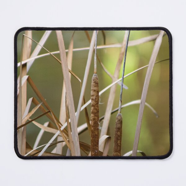 Item preview, Close up of Dry reeds in the wetlands designed and sold by James-Cole.