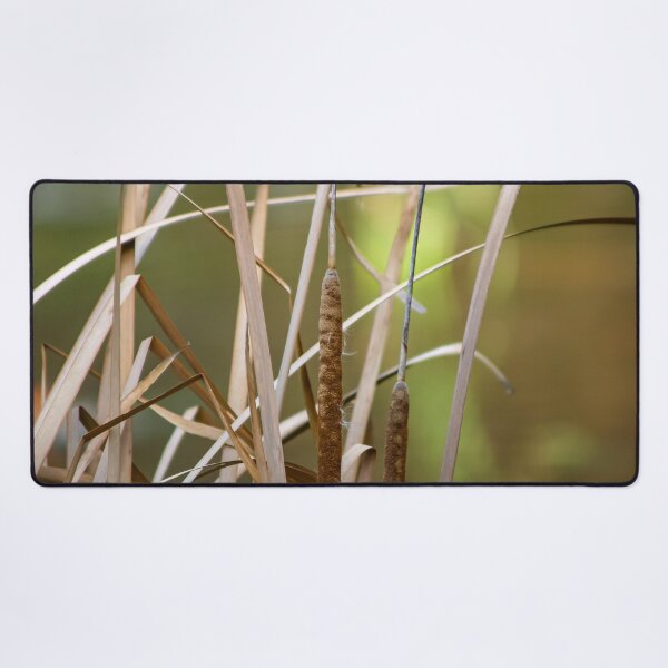 Item preview, Close up of Dry reeds in the wetlands designed and sold by James-Cole.