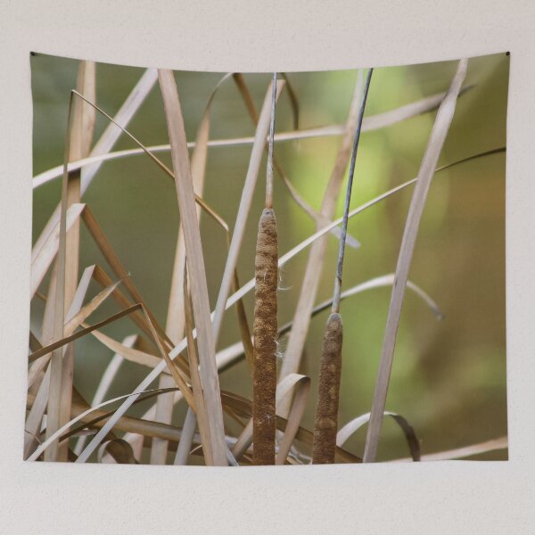 Item preview, Close up of Dry reeds in the wetlands designed and sold by James-Cole.