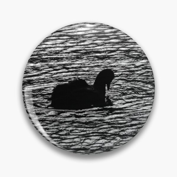 Item preview, Eurasian Coot waterbird surrounded by eternal ripples in the water designed and sold by James-Cole.