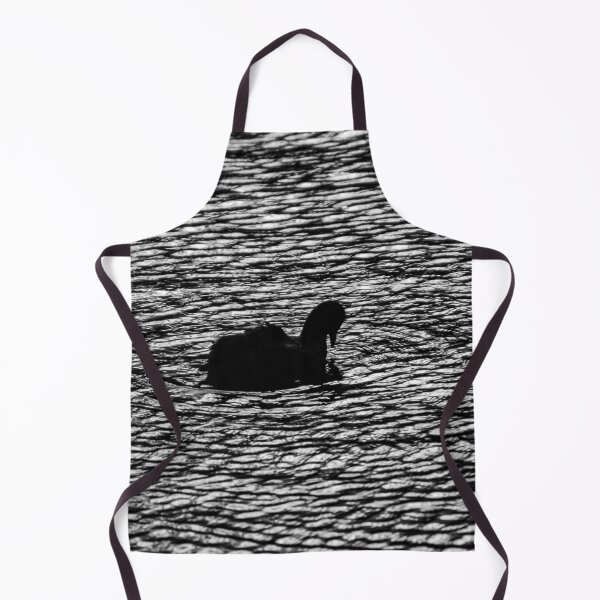 Item preview, Eurasian Coot waterbird surrounded by eternal ripples in the water designed and sold by James-Cole.