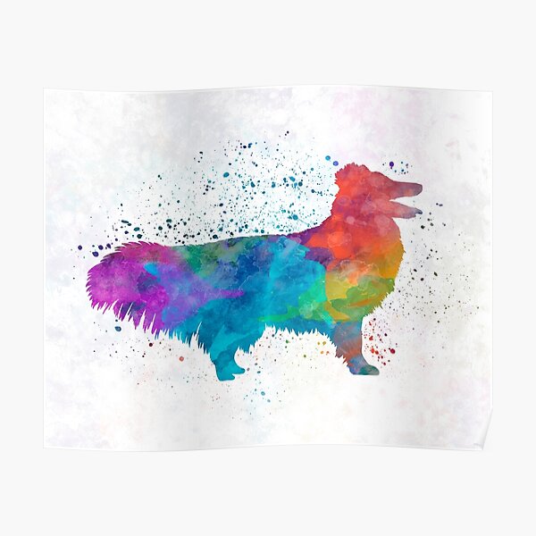 Shetland Seepdog in watercolor Poster