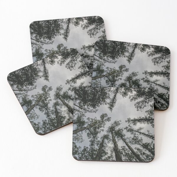 Item preview, Looking straight up into the gloomy grey tree canopy designed and sold by James-Cole.