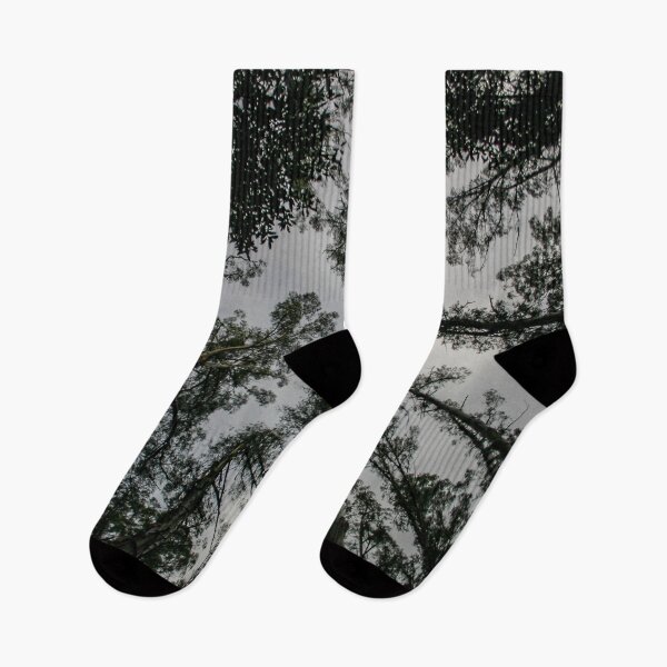 Item preview, Looking straight up into the gloomy grey tree canopy designed and sold by James-Cole.