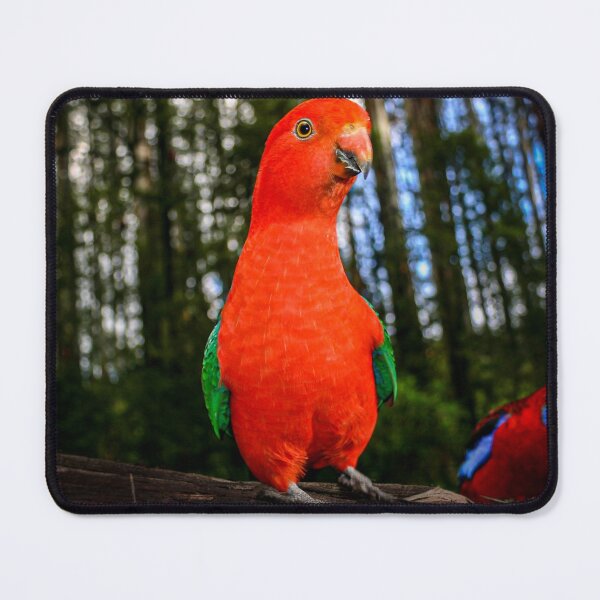 Item preview, Australian King Parrot standing tall and proud designed and sold by James-Cole.