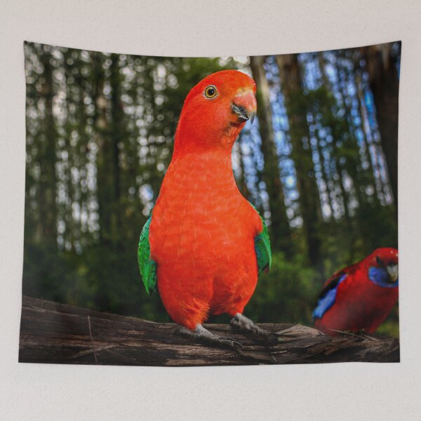 Item preview, Australian King Parrot standing tall and proud designed and sold by James-Cole.