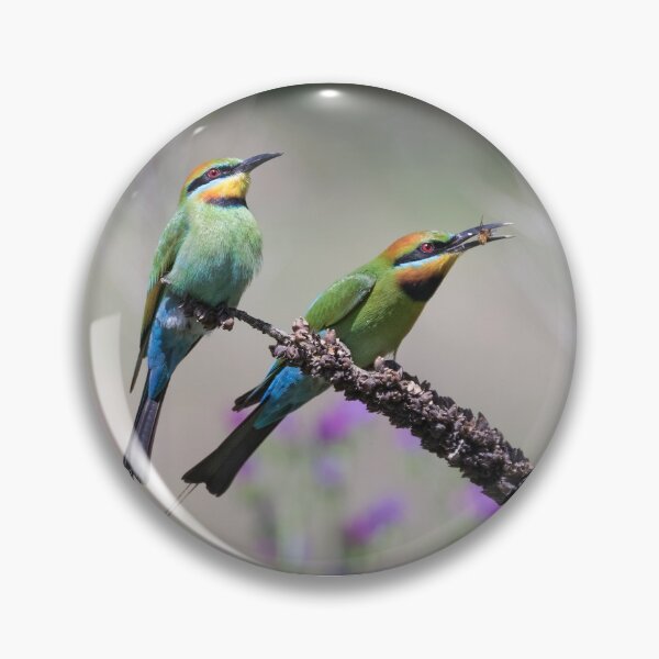 Item preview, Pair of rainbow bee-eaters. designed and sold by DaveBassett.