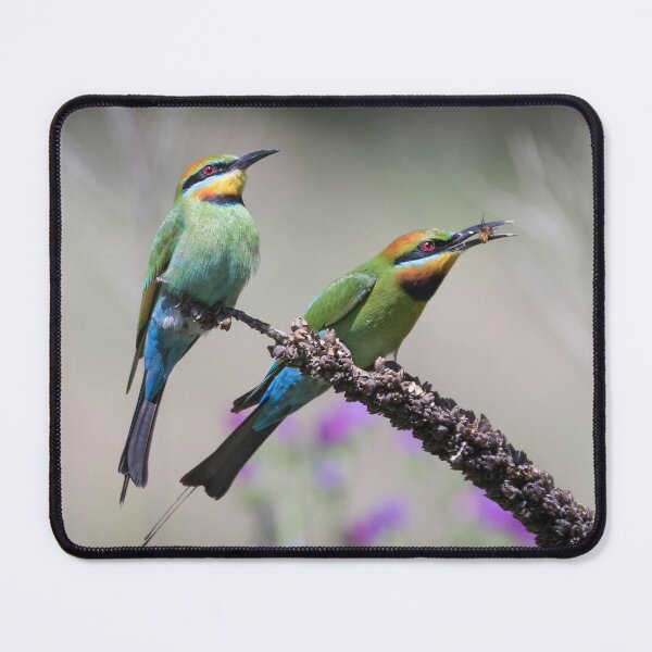 Item preview, Pair of rainbow bee-eaters. designed and sold by DaveBassett.