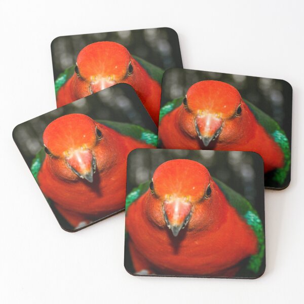 Item preview, A brightly coloured red and grey King Parrot bird leaning into the camera lens designed and sold by James-Cole.