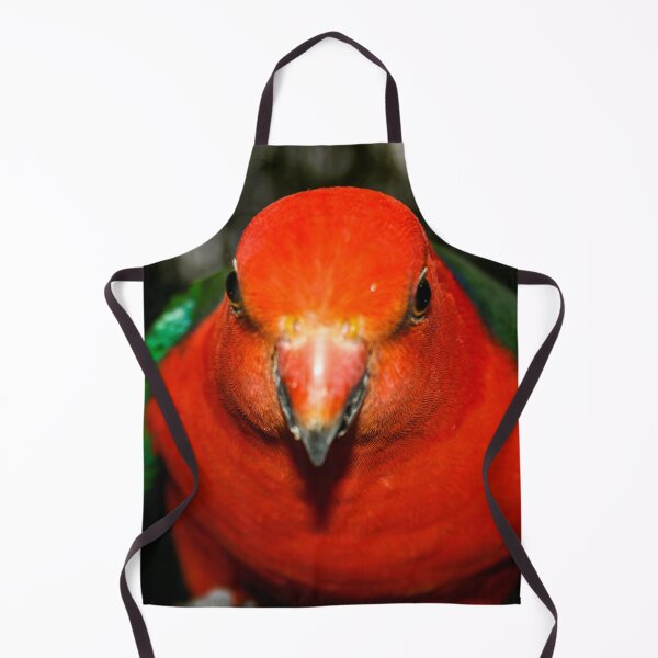Item preview, A brightly coloured red and grey King Parrot bird leaning into the camera lens designed and sold by James-Cole.