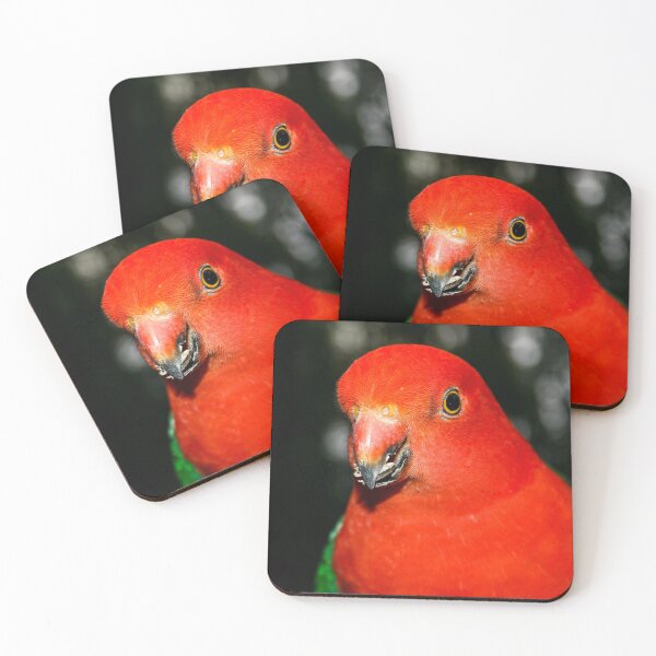 Item preview, A brightly coloured red and grey King Parrot bird eating seeds designed and sold by James-Cole.