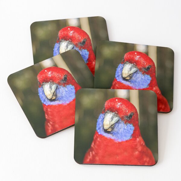 Item preview, Bright red Australian native Rosella bird looking curiously at the camera lens designed and sold by James-Cole.