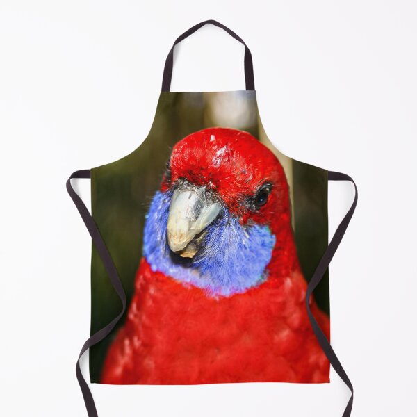 Item preview, Bright red Australian native Rosella bird looking curiously at the camera lens designed and sold by James-Cole.