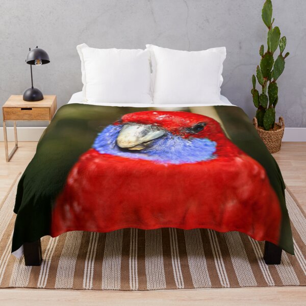 Item preview, Bright red Australian native Rosella bird looking curiously at the camera lens designed and sold by James-Cole.