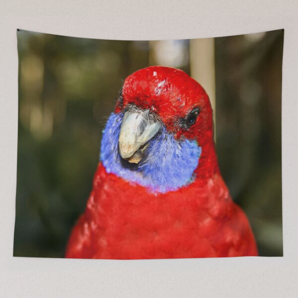 Item preview, Bright red Australian native Rosella bird looking curiously at the camera lens designed and sold by James-Cole.