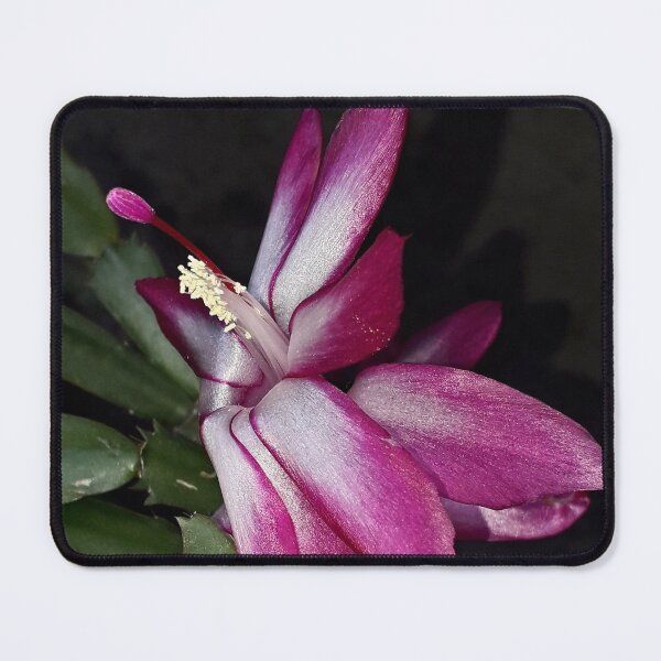 Item preview, NS Fly Magenta IIA-RW.© designed and sold by OmarHernandez.