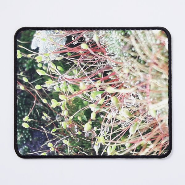 Item preview, NS Small Worlds V.© designed and sold by OmarHernandez.