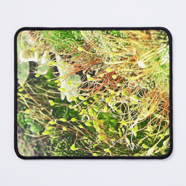 Item preview, NS Small Worlds IV.© designed and sold by OmarHernandez.
