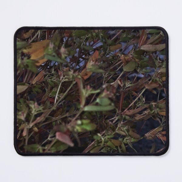 Item preview, NS Nature Pattern IIAV.© designed and sold by OmarHernandez.
