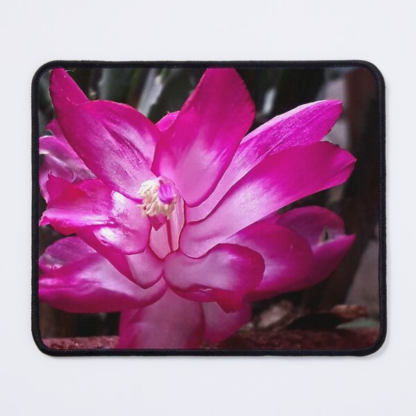 Item preview, NS Cactus Flower IA.© designed and sold by OmarHernandez.