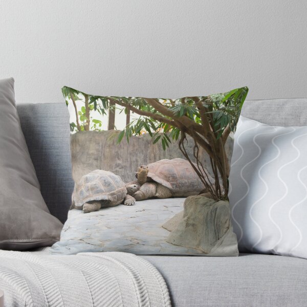 Item preview, Turtles designed and sold by Ondrej Syblik.