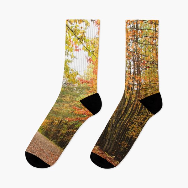 Item preview, Autumn-Colored Woods designed and sold by Autumn Seas Photography.
