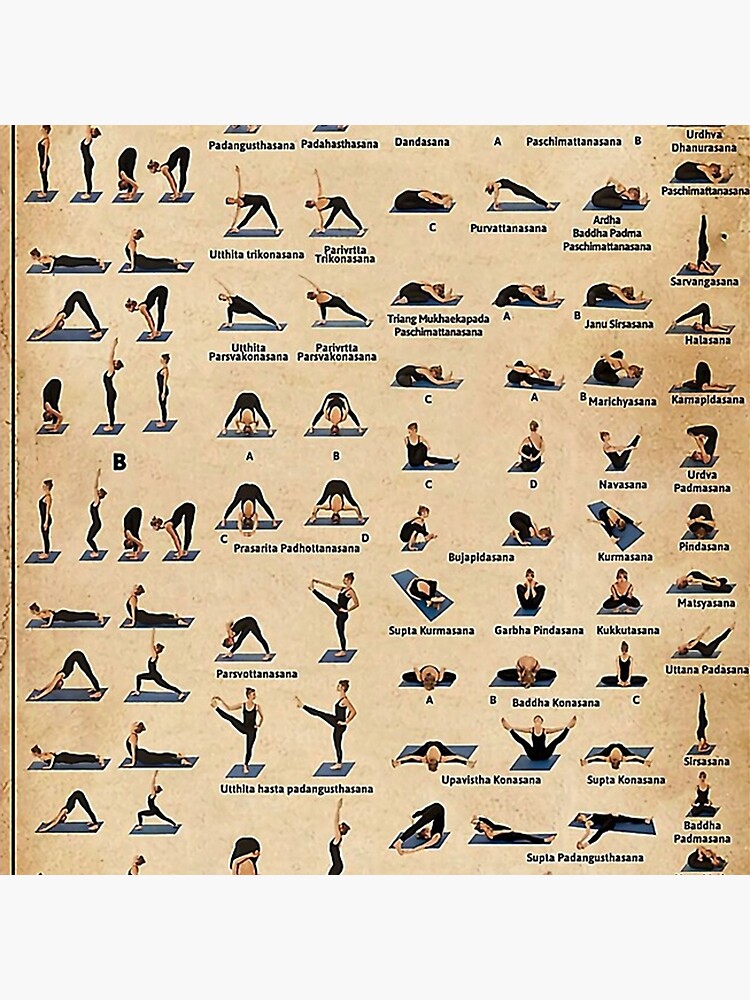 ASHTANGA VINYASA YOGA Primary Series