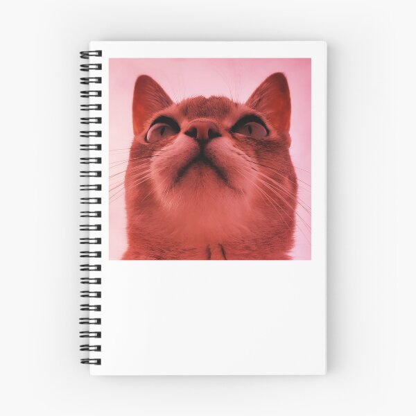 Item preview, Speedball the big red cat designed and sold by Cat-yawns.