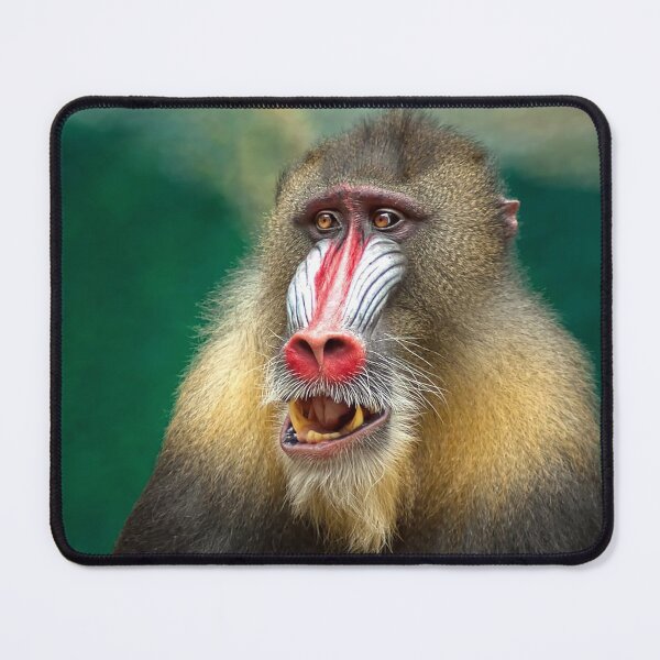 Item preview, Mandril African Baboon designed and sold by Cryptodesignz.