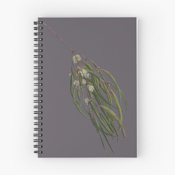 Item preview, Leaves on angle1 - Eucalyptus leaves, flowers, green, white, purple. Botanic art, Australian.  designed and sold by RachaelCurryArt.