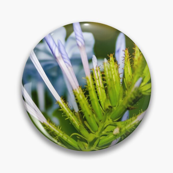 Item preview, Blue flowered agapanthus plant coming to life in spring designed and sold by James-Cole.