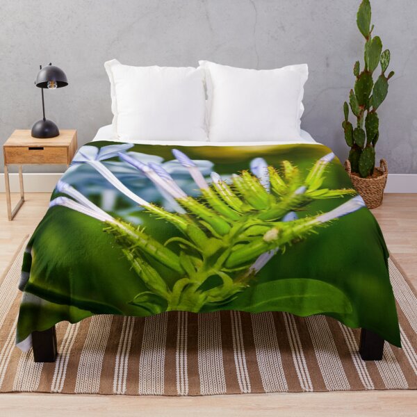 Item preview, Blue flowered agapanthus plant coming to life in spring designed and sold by James-Cole.