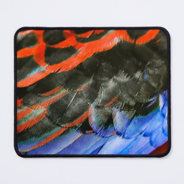 Item preview, Colourful back feathers of native Australian Rosella bird designed and sold by James-Cole.