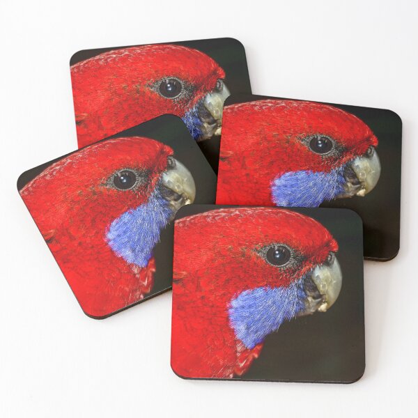 Item preview, Close up of native Australian Rosella bird with a red head and flash of blue designed and sold by James-Cole.