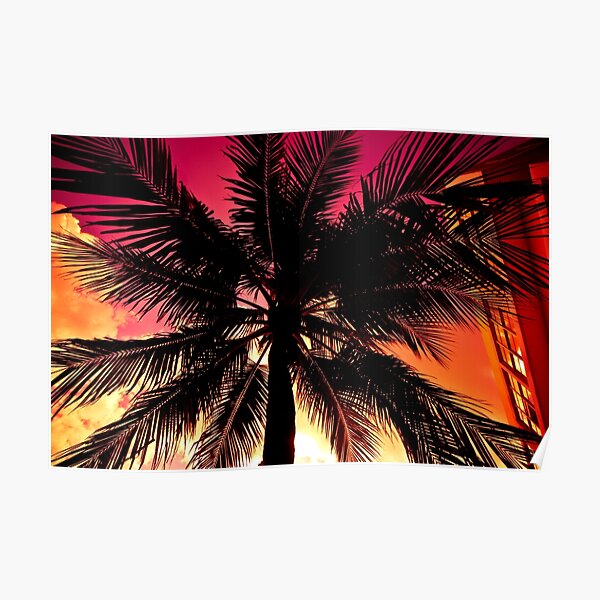 Miami Beach Morgen In Schwarz Weiss Poster Von Eyecbeauty Redbubble