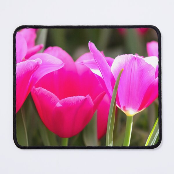 Item preview, Large Pink Tulips designed and sold by Designs24U.