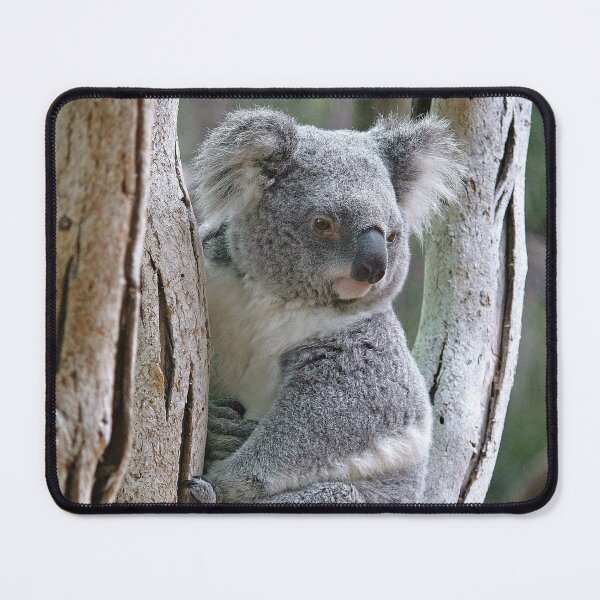 Item preview, Bushland Treasure designed and sold by LeanneAllen.