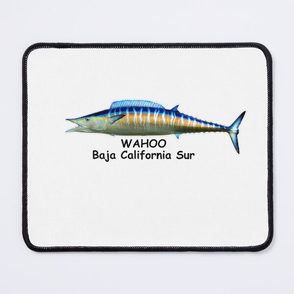 Item preview, WAHOO BAJA CALIFORNIA SUR designed and sold by cgullart.