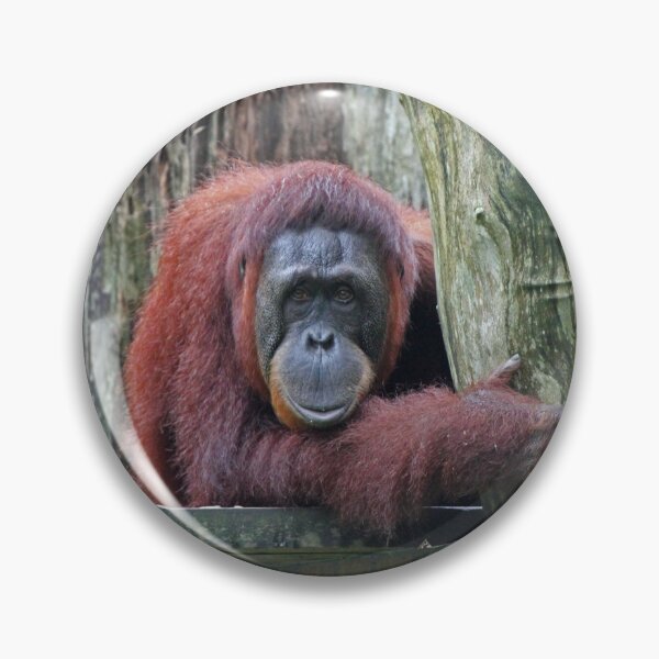 Item preview, Bornean Orangutan designed and sold by LeanneAllen.