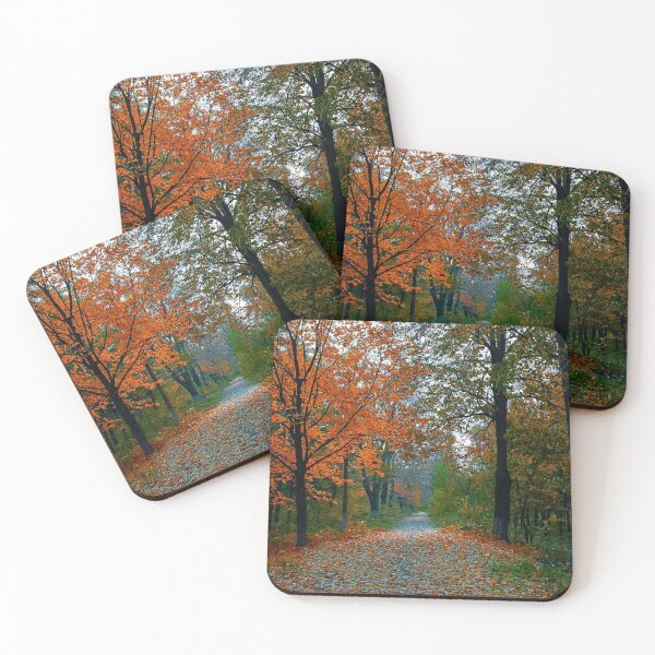 Item preview, Fall and Green Trees  designed and sold by Designs24U.