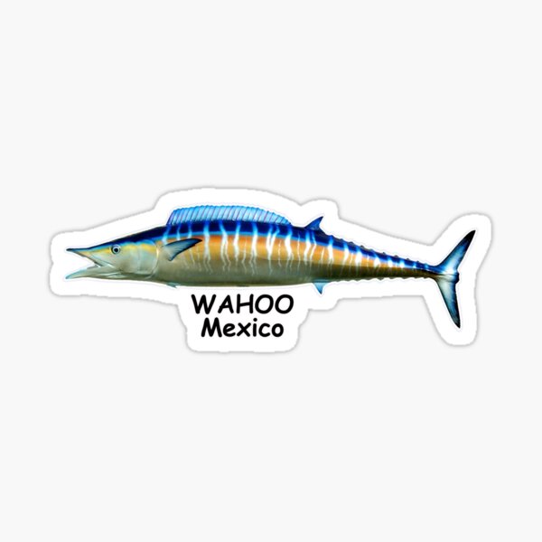 Wahoo Fish Merch & Gifts for Sale