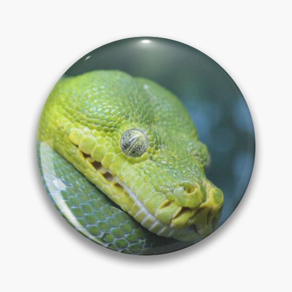 Item preview, Green Tree Python designed and sold by LeanneAllen.