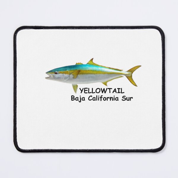 Item preview, YELLOWTAIL BAJA CALIFORNIA SUR designed and sold by cgullart.