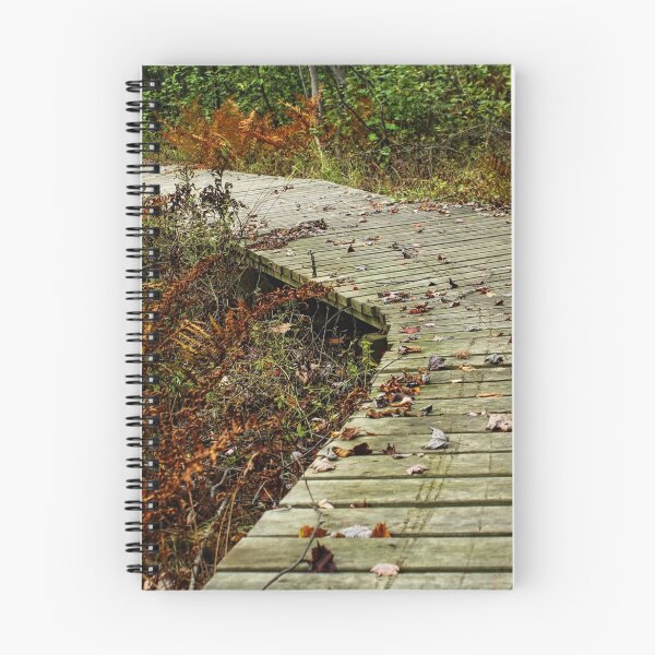 Item preview, Foliage along Escanaba Lake Trail designed and sold by Kriestienn De Bruyne.