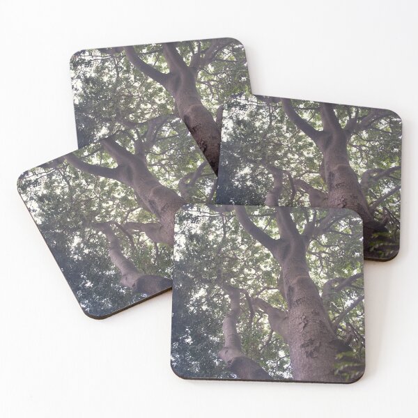 Item preview, Climb That Tree © Vicki Ferrari designed and sold by Vicki Ferrari Photography.