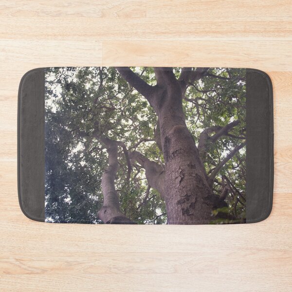 Item preview, Climb That Tree © Vicki Ferrari designed and sold by Vicki Ferrari Photography.