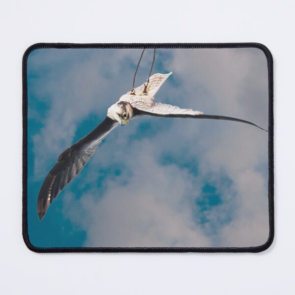 Item preview, The Stoop of the Falcon designed and sold by Dalyndigital Photography.