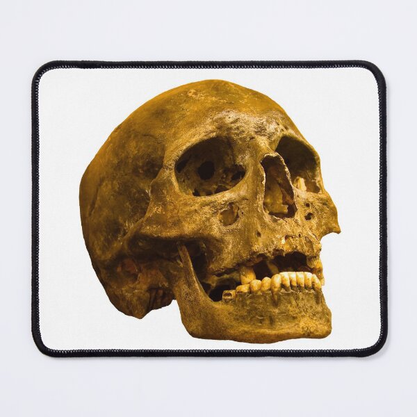 Item preview, Human Skull designed and sold by Dalyndigital Photography.