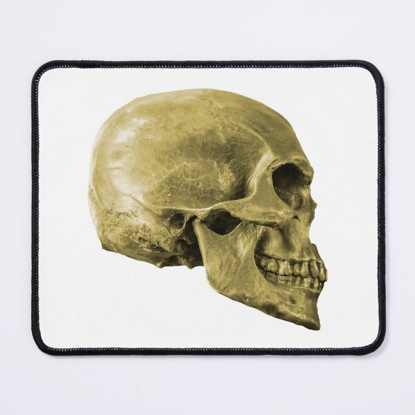 Item preview, Human Skull designed and sold by Dalyndigital Photography.