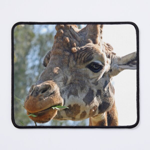 Item preview, Rothschild's Giraffe designed and sold by LeanneAllen.